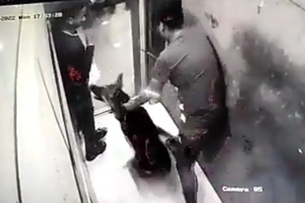 Yet another pet dog attack in lift, shocking VIDEO from Noida society surfaces online