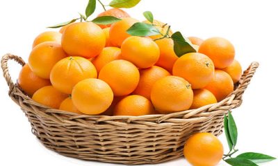 orange basket