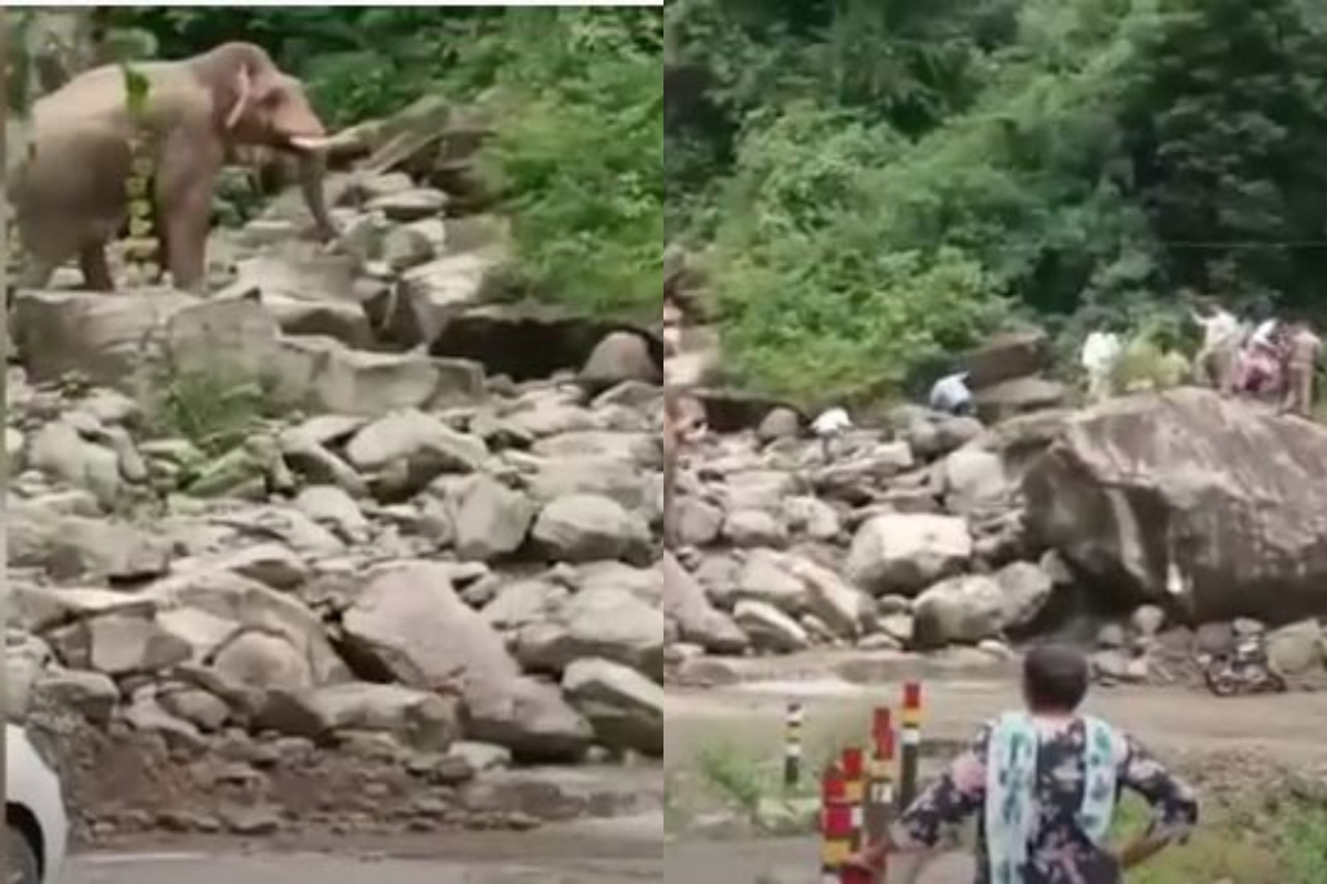 Former Uttarakhand CM Trivendra Rawat climbs rocks after elephant blocks convoy (VIDEO)