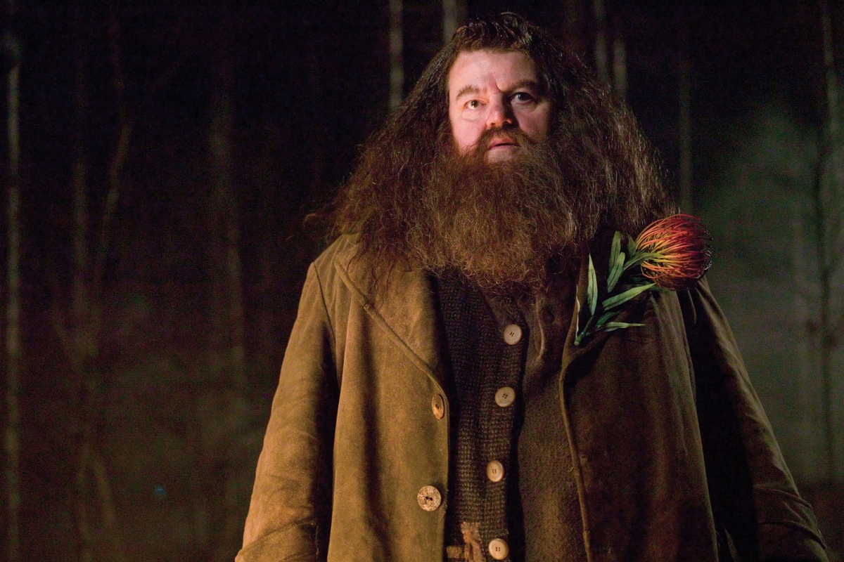 Robbie Coltrane, who played Hagrid in ‘Harry Potter’ movies, passes away
