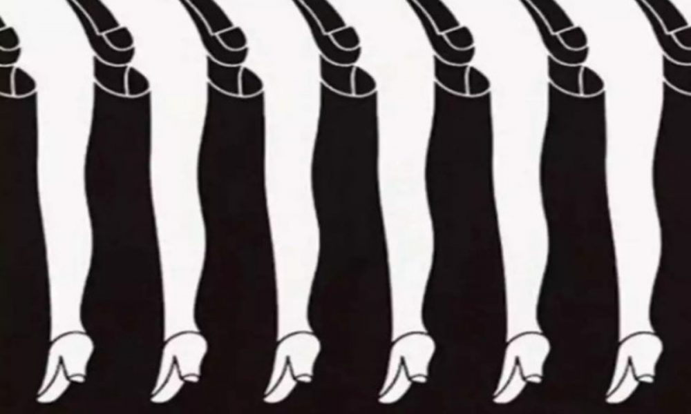 Optical Illusion: You will fit into this personality if you see the first male or female leg