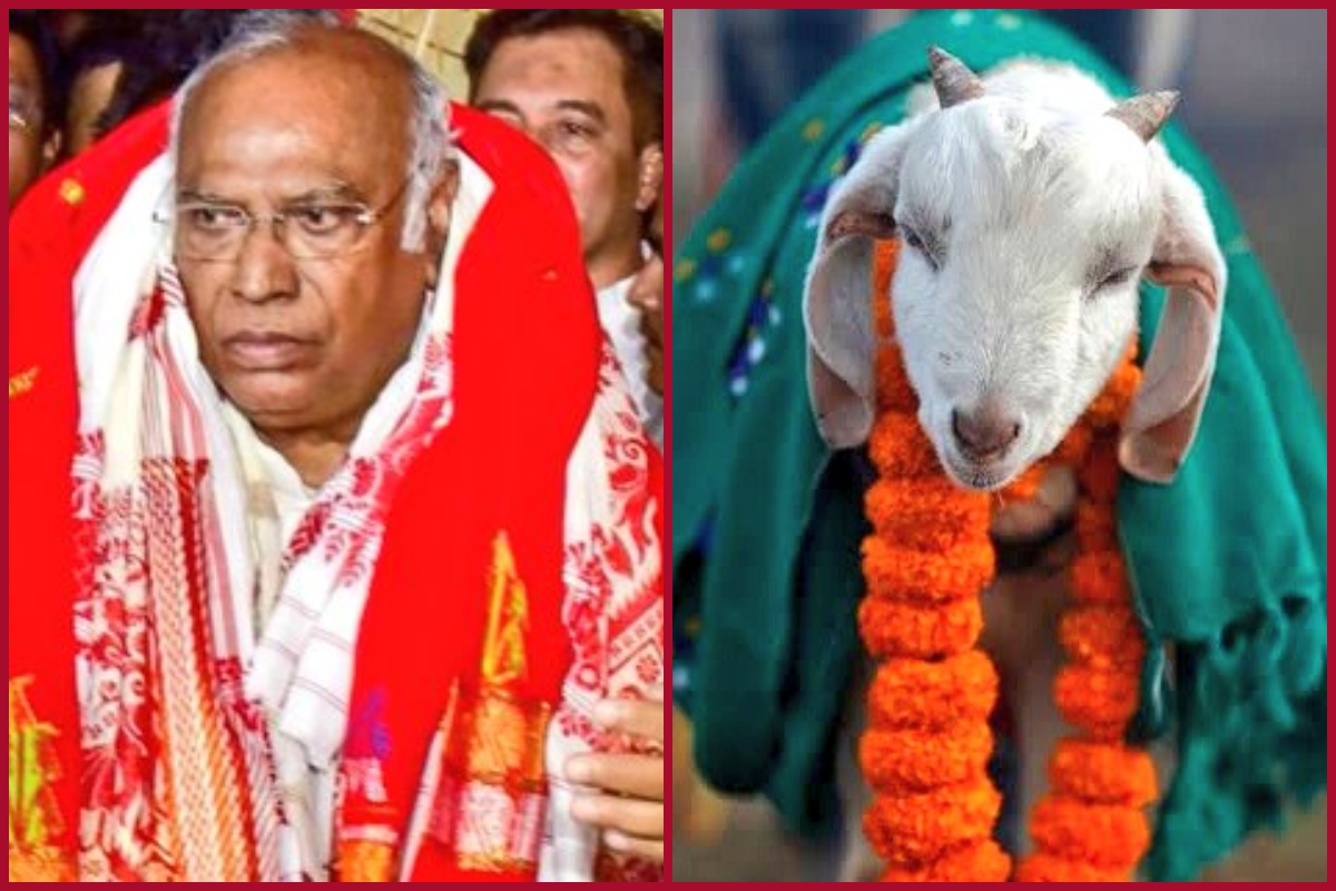 Mallikarjun Kharge trends at top on Twitter; check how netizens make fun of new Cong President
