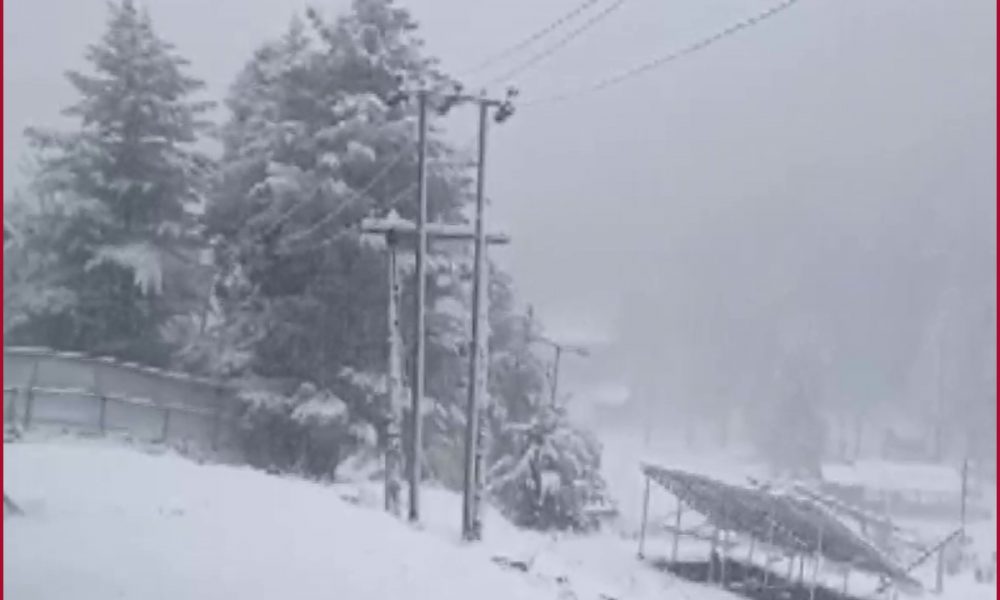 WATCH: Jammu and Kashmir’s Gulmarg, Sonmarg receives fresh snowfall