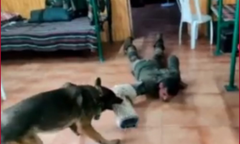 WATCH: Army dog ‘Zoom’ attacked terrorists & received 2 gunshot injuries but continued fighting and performing his task