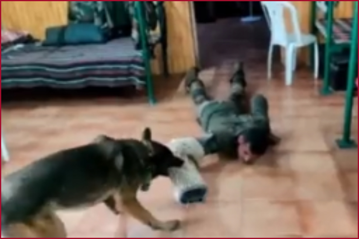 WATCH: Army dog 'Zoom' attacked terrorists & received 2 gunshot injuries but continued fighting and performing his task