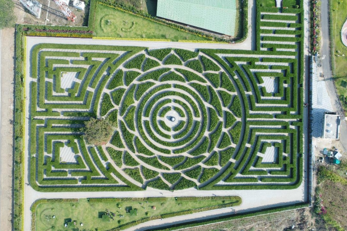 maze garden 