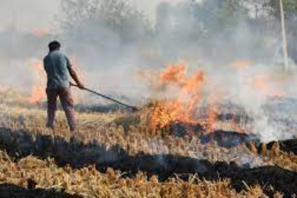 stubble burning