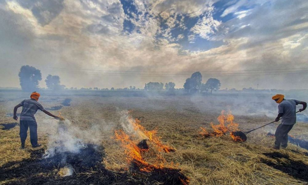 Increased stubble burning in Punjab becomes serious environmental concern in Delhi, NCR