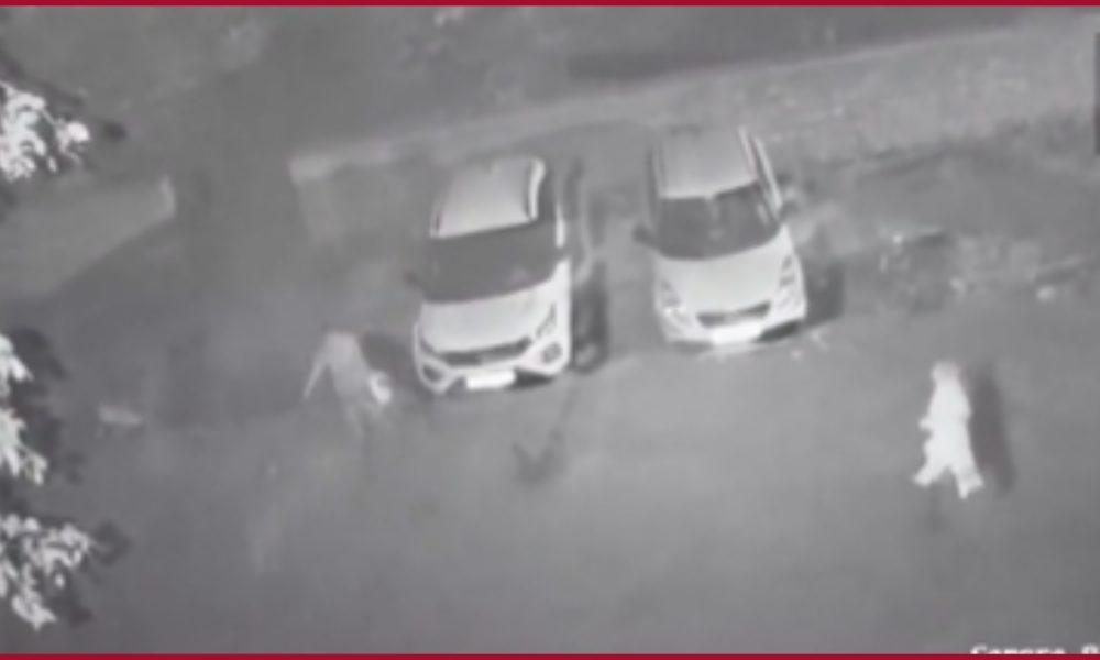Delhi Pandav Nagar Murder: CCTV footage shows accused woman Poonam & son Deepak disposing body pieces in nearby ground