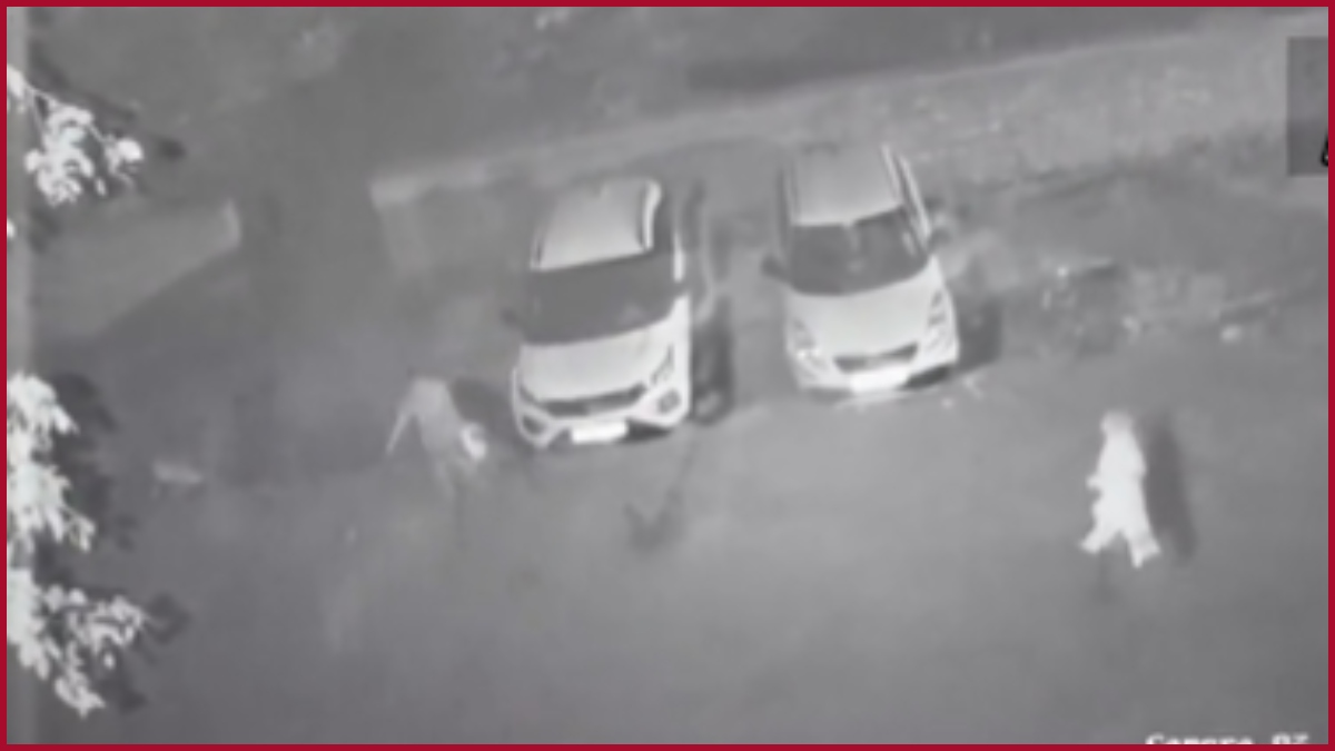 Delhi Pandav Nagar Murder: CCTV footage shows accused woman Poonam & son Deepak disposing body pieces in nearby ground