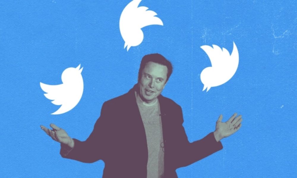 Twitter accounts to be verified with three colours from next week: Elon Musk