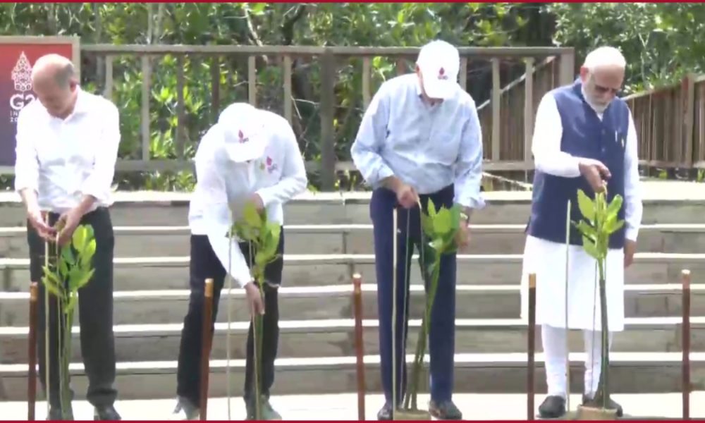 PM Modi visits Taman Hutan Raya mangrove forest in Bali