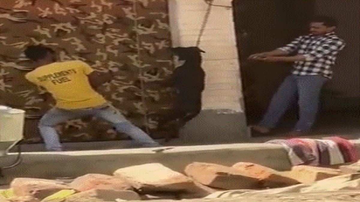 Ghaziabad shocker: Dog hanged to death by 3 men; incident caught on camera (WATCH)