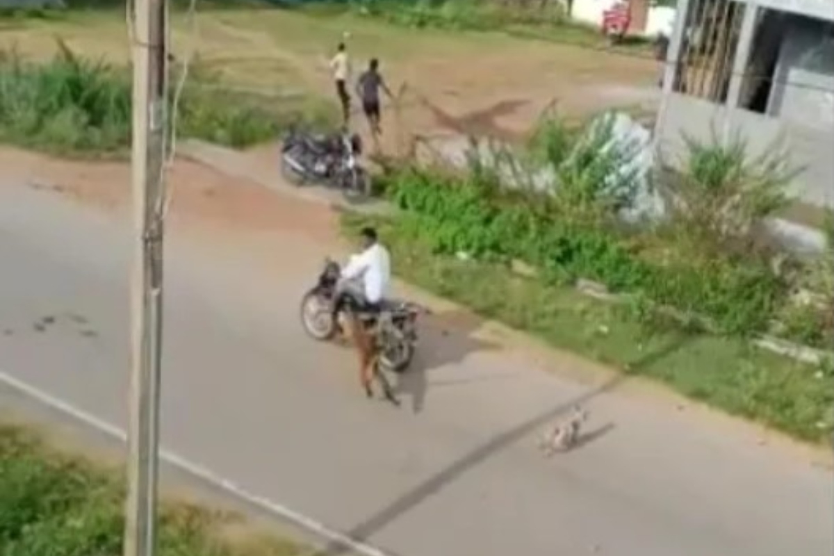 Horrifying VIDEO of leopard pouncing on biker, forest official in Mysuru village surfaces online, big cat rescued