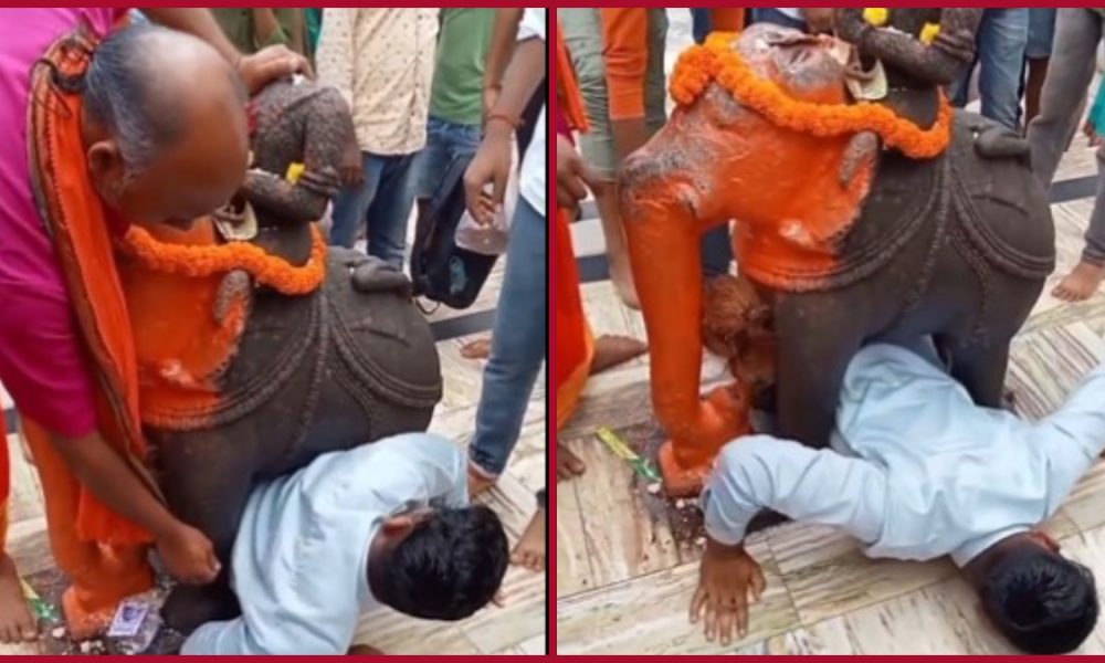 Netizens couldn’t stop laughing on man stuck under elephant statue while worshiping (WATCH)