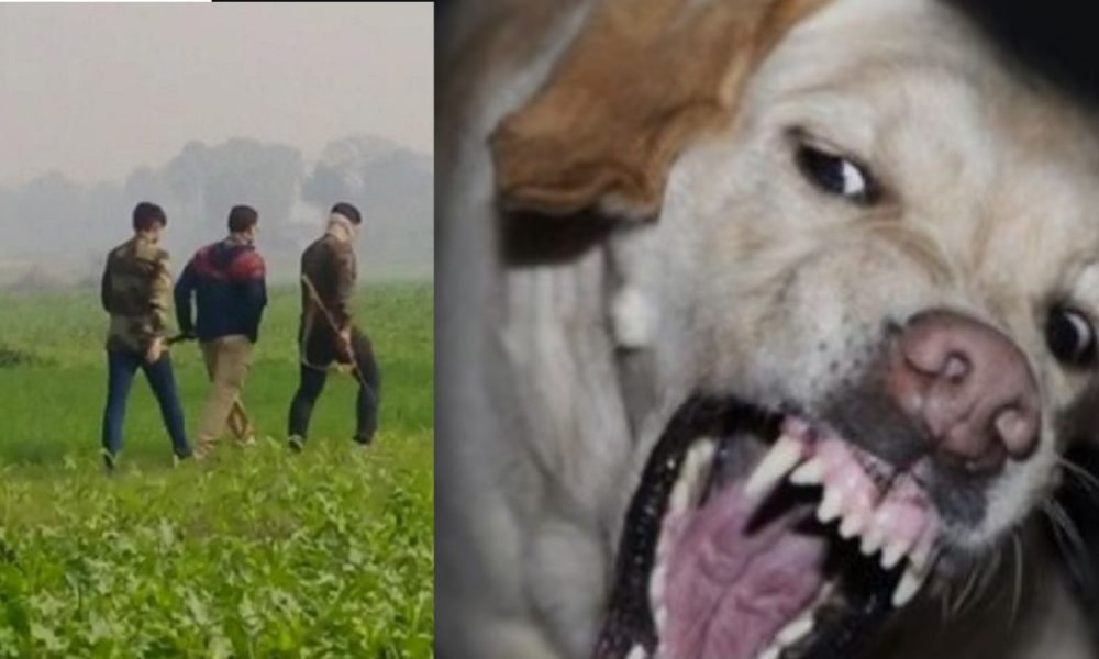 Begusarai: Sharpshooters put an end to terror-streak of 12 human eating dogs