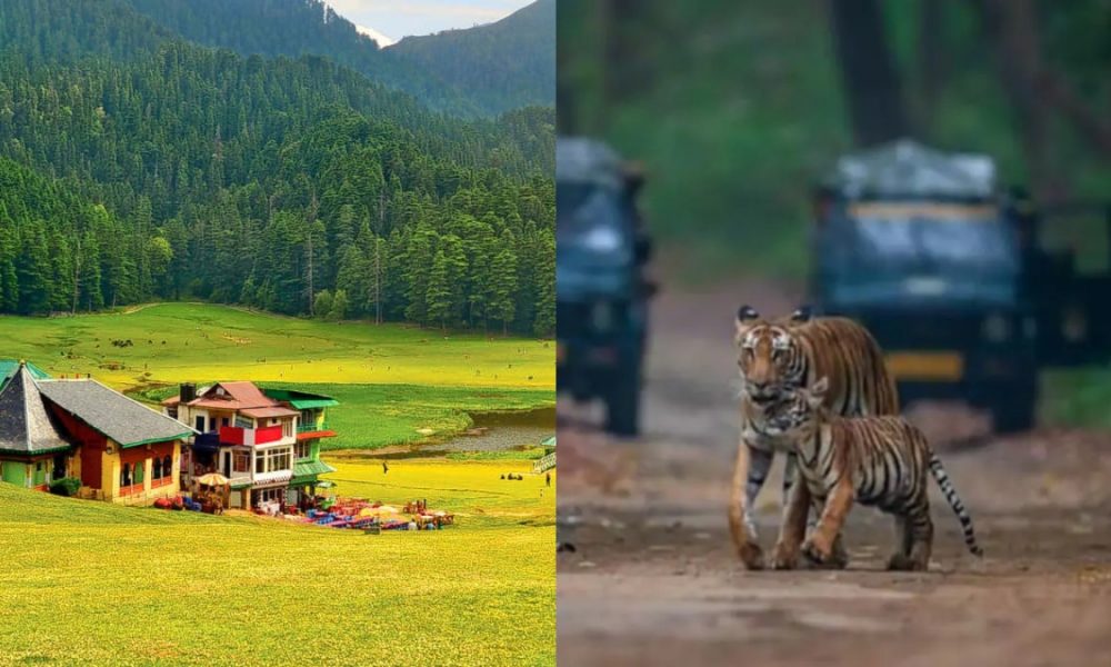 From Jim Corbett to Mashobra: Check out 10 places to visit near Delhi this New Year