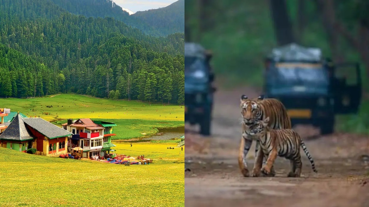 From Jim Corbett to Mashobra: Check out 10 places to visit near Delhi this New Year