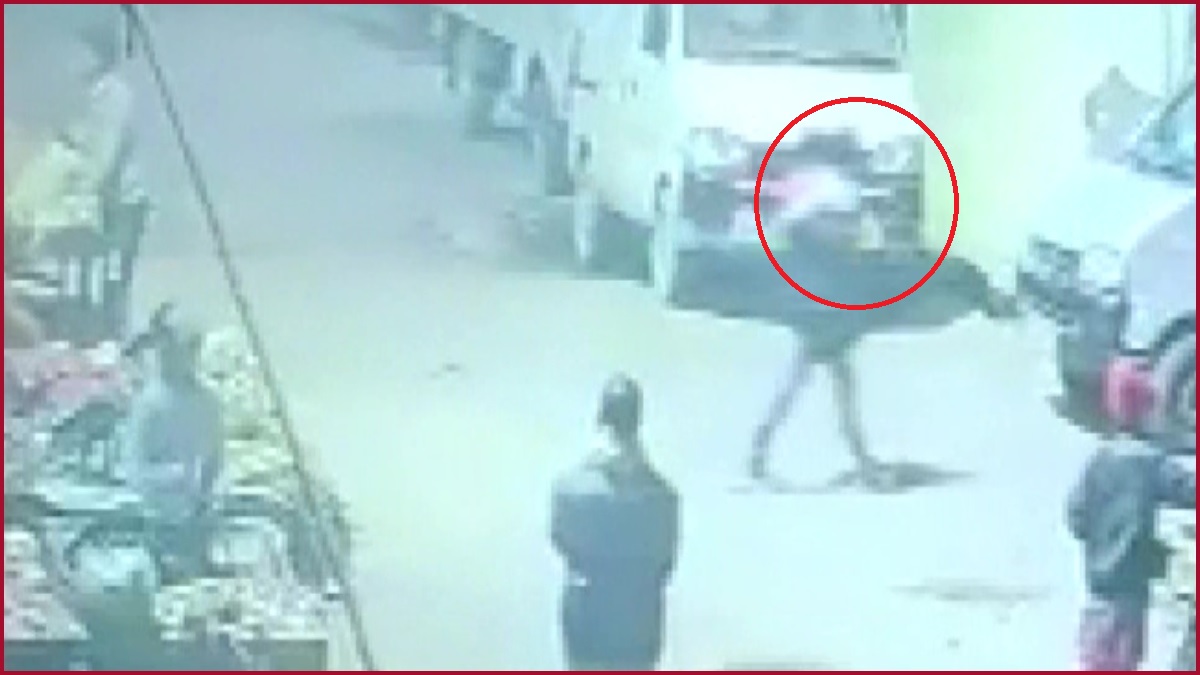 Delhi Crime: 5-year-old girl abducted and raped in Bhalswa Dairy area, DCW seeks report from Police (CCTV Footage)