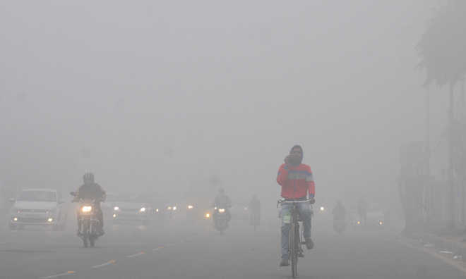 North India shivers in cold, Uttar Pradesh braces for cold wave spell
