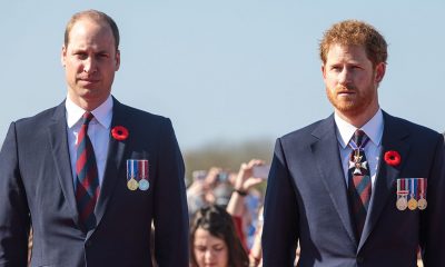Prince William and Prince Harry of the British Royal Family