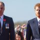 Prince William and Prince Harry of the British Royal Family