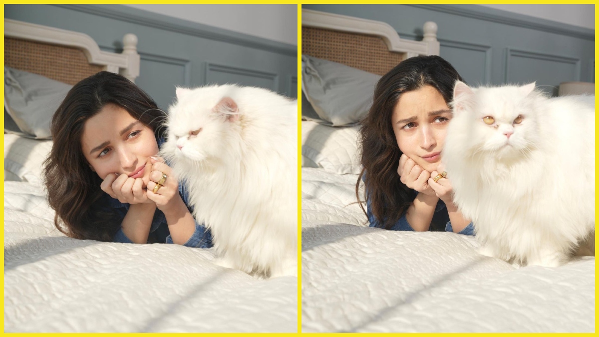 Alia Bhatt shares her “well-ignored pawfect Sunday” pictures with her cat Edward