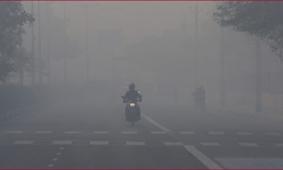 Delhi-winters