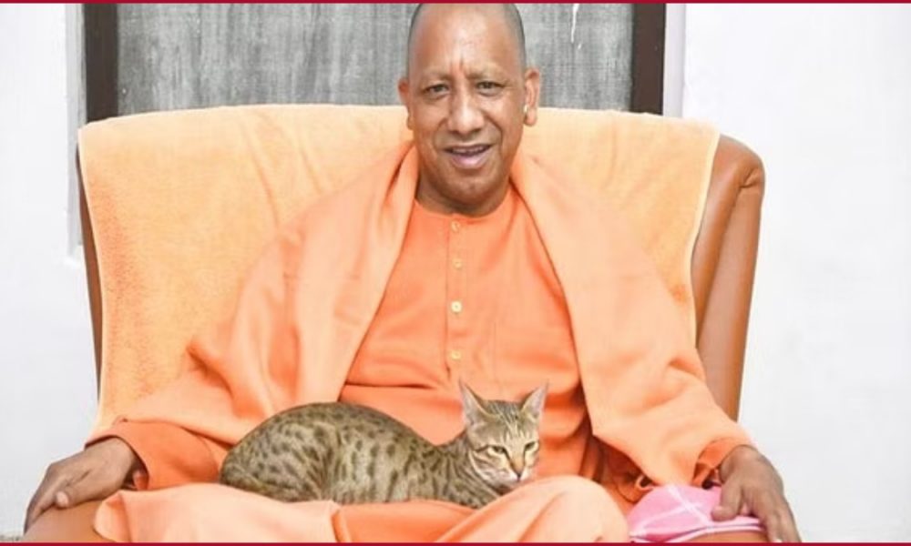 Yogi Adityanath doting on cat goes viral on last day of 2022