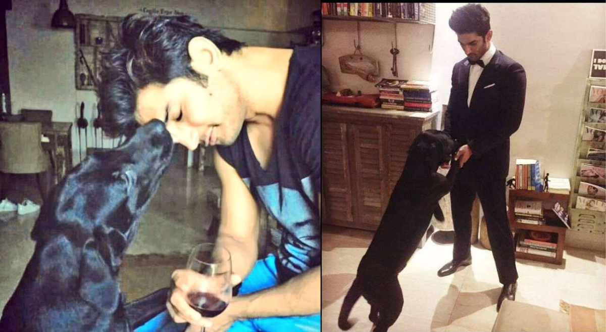Sushant Singh Rajpoot’s pet dog Fudge passes away, Netizens console heartbroken family