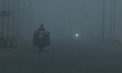 delhi cold