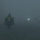 delhi cold