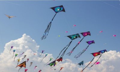 makar sankranti