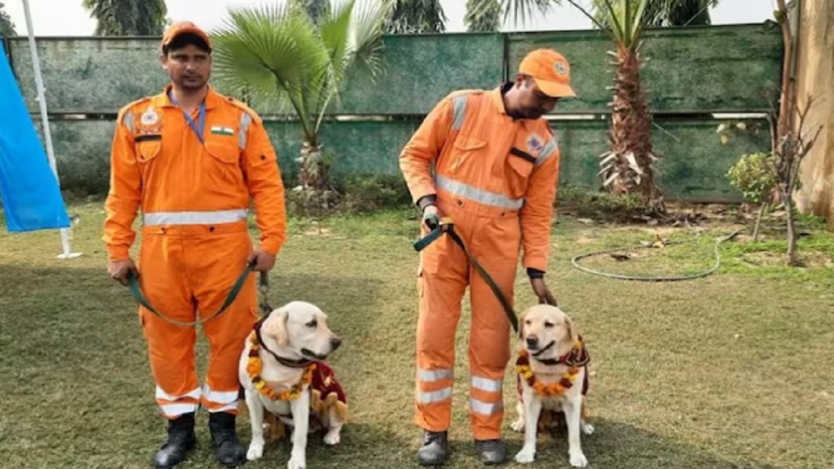 India rescue team - turkey --