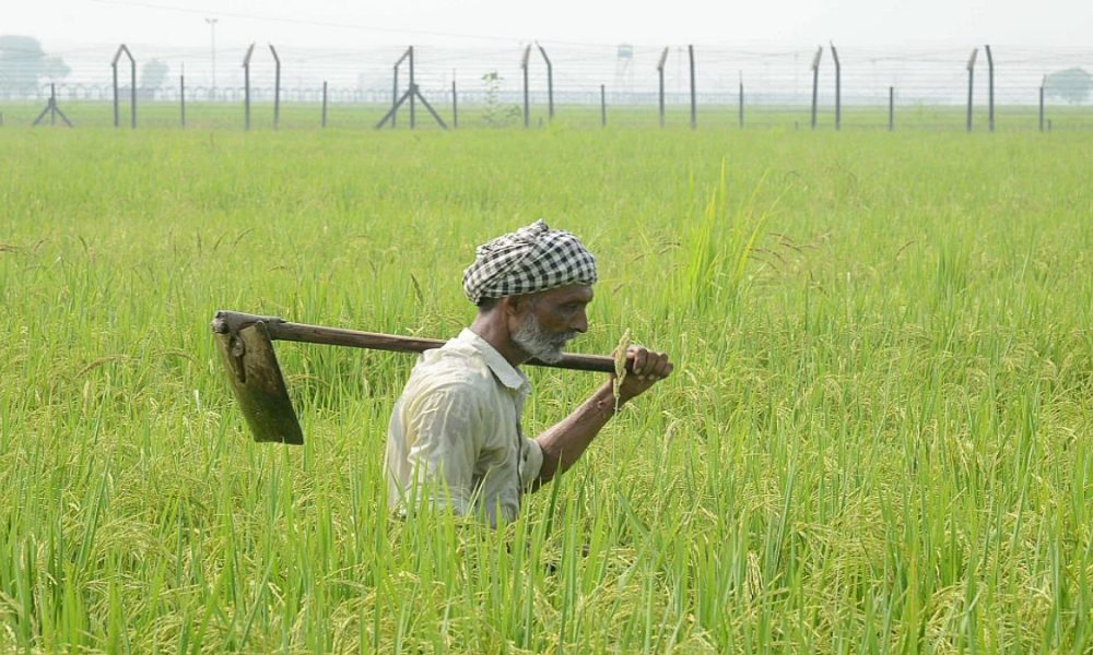 Union Cabinet approves schemes worth over Rs. 3.70 lakh crore for farmers: Mandaviya