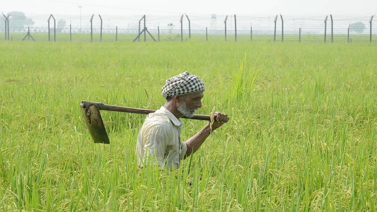 Union Cabinet approves schemes worth over Rs. 3.70 lakh crore for farmers: Mandaviya