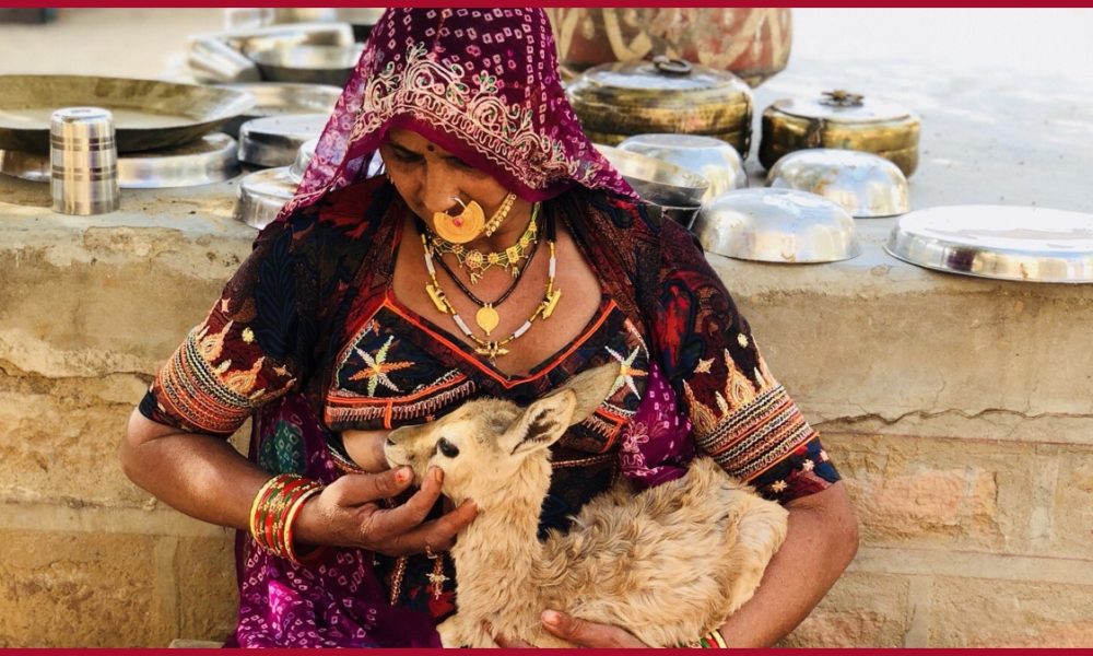 Bishnoi Community: 10 Things you need to know about India’s original eco-warriors