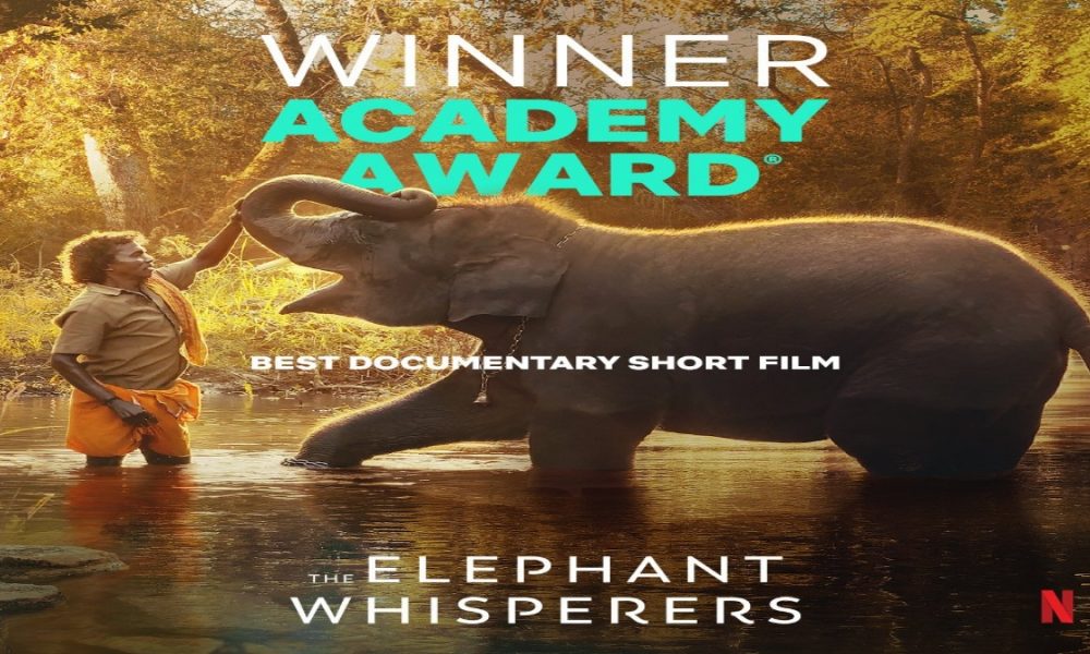 All about India’s ‘The Elephant Whisperers’ that won the Oscars 2023