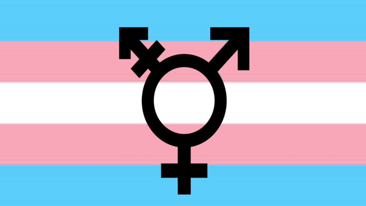 transgender symbol 