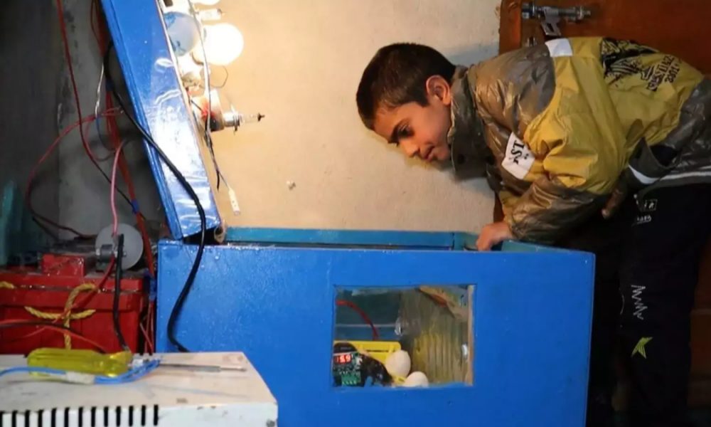 10-year-old Momin Ishaq invents low-cost egg incubator in Kulgam (VIDEO)