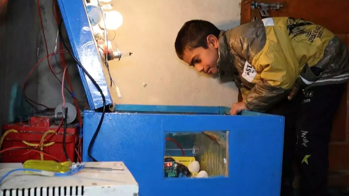 10-year-old Momin Ishaq invents low-cost egg incubator in Kulgam (VIDEO)