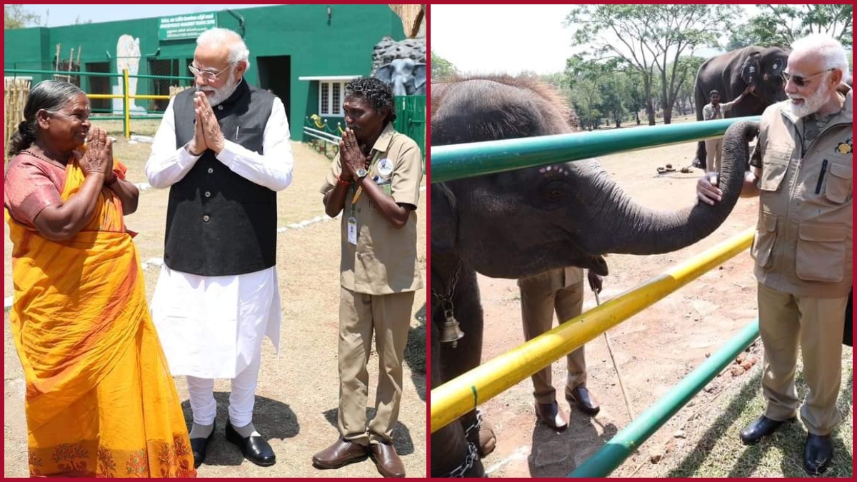 WATCH: PM Modi meets “The Elephant Whispers” couple Bomman and Belli, along with Bommi and Raghu