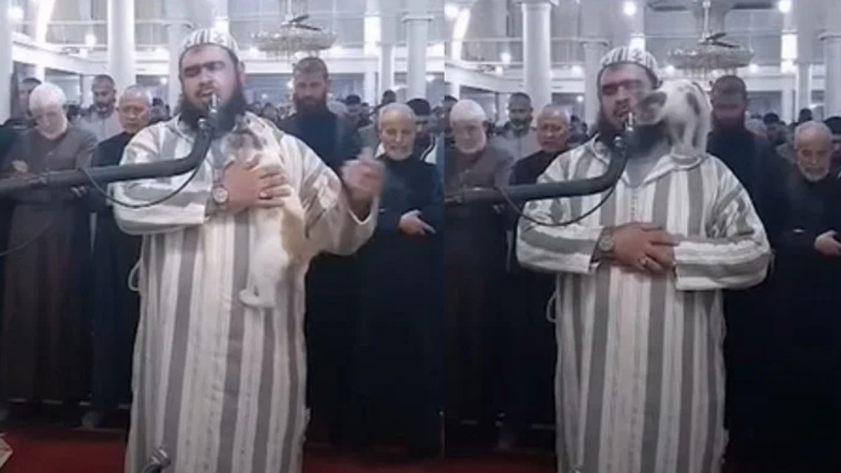Cat jumps on Imam reciting Ramadan prayers in Algeria (VIDEO)