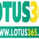 lotus365 logo