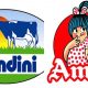 nandini vs amul