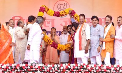 Yogi --