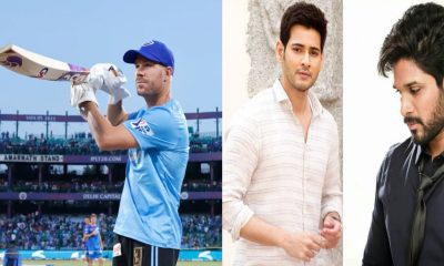 david waner on telugu film