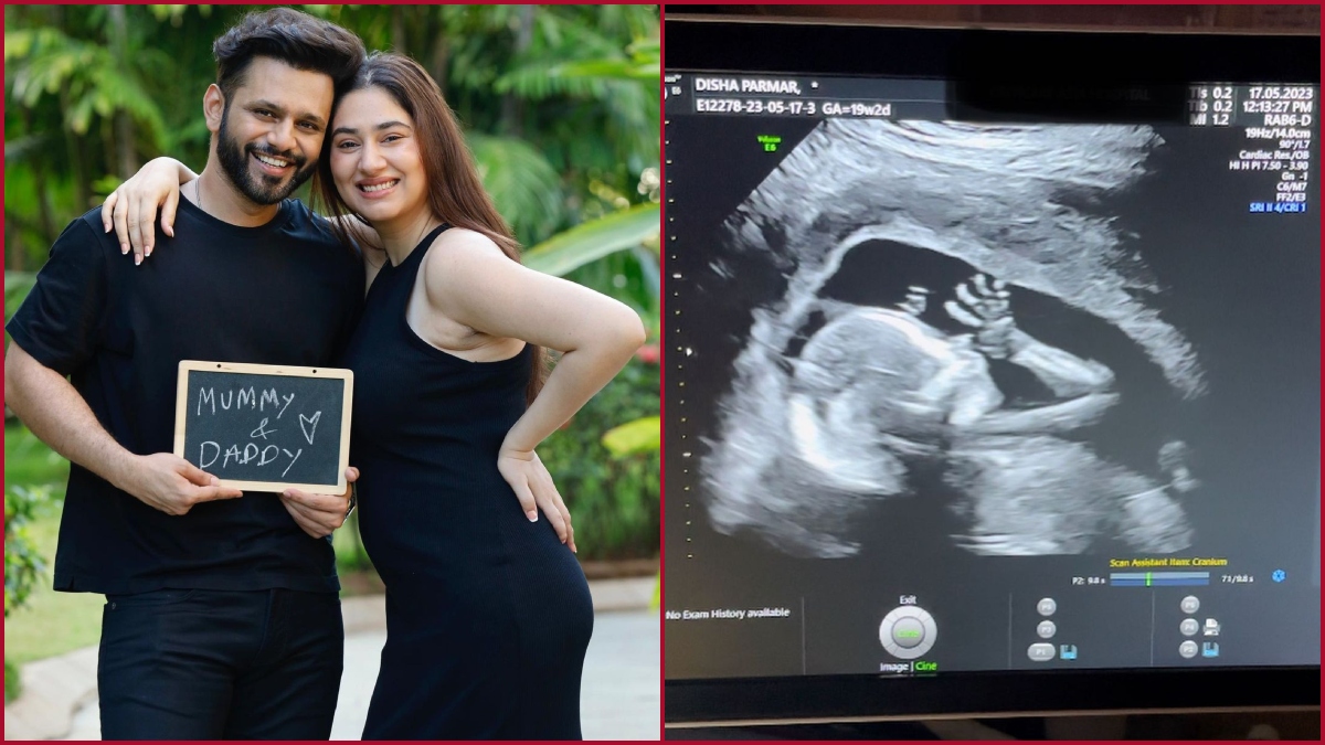 Disha and Rahul announce pregnancy, shares sonography pics and video