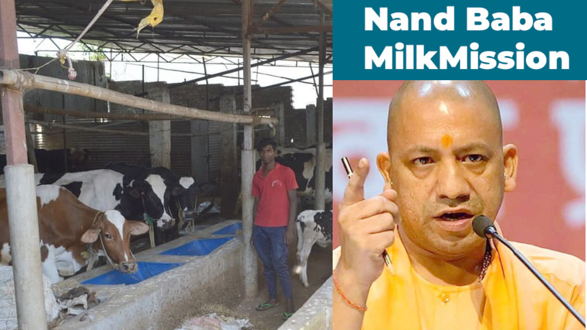 Yogi govt to give a grant of Rs 40K on purchase of indigenous cows from other states