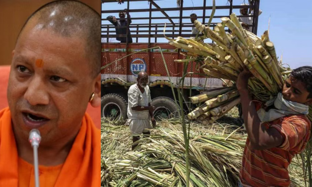 Yogi Govt makes record payment of Rs 2.14 lakh crore to sugarcane farmers in 6 years